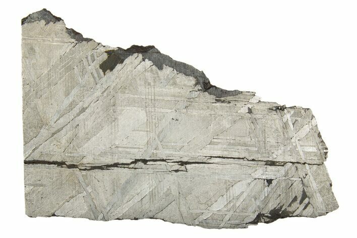 Etched Muonionalusta Meteorite Slice ( g) - Sweden #320293